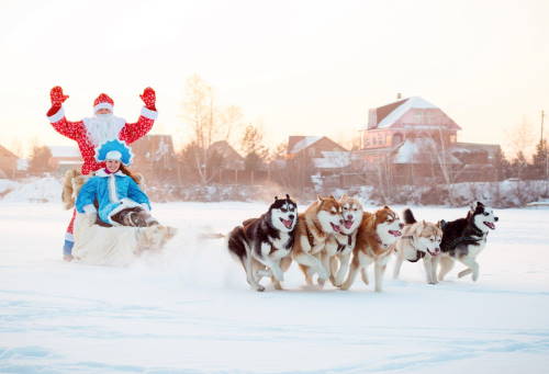 Новогодние приключения в Карелии фото